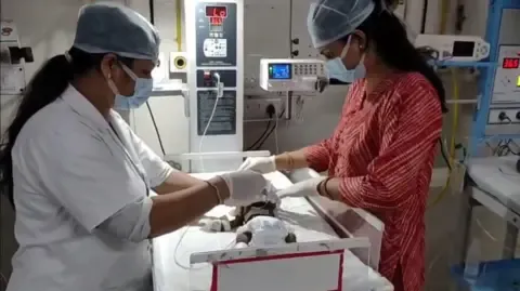 Infant Interred Alive in the Country Battles for Her Life